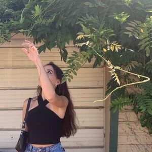 Black cross neck Aritzia top! Perfect for all year round!